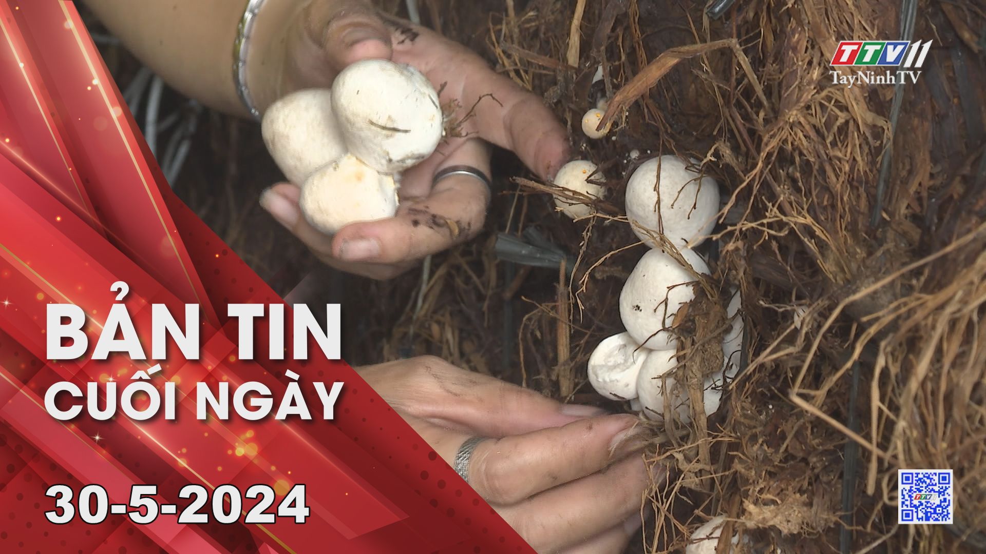 Bản tin cuối ngày 30-5-2024 | Tin tức hôm nay | TayNinhTV